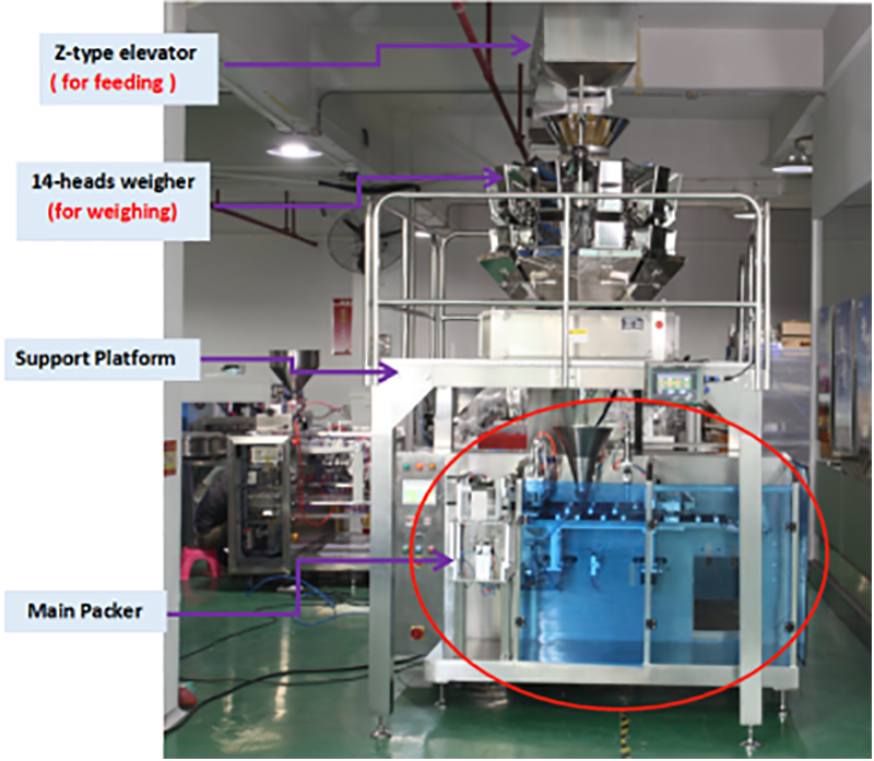 Rotary And Horizontal Pre-Made Pouch Packaging Machines