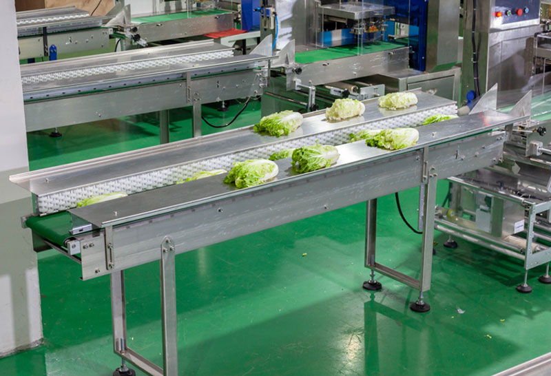 vegetable packing machine