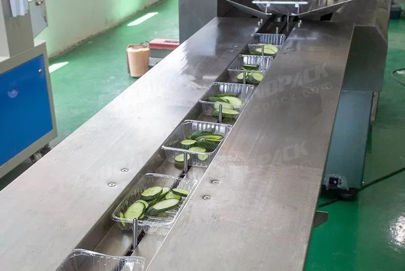 frozen fish packing machine