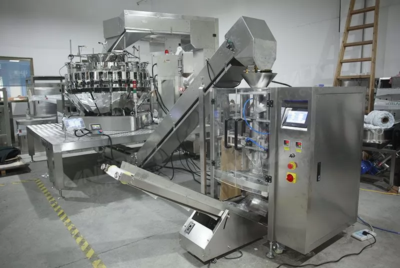 dry fruit packing machine price